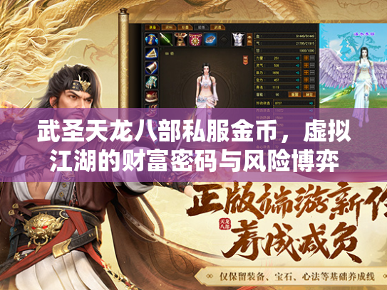 武圣天龙八部私服金币，虚拟江湖的财富密码与风险博弈  第3张