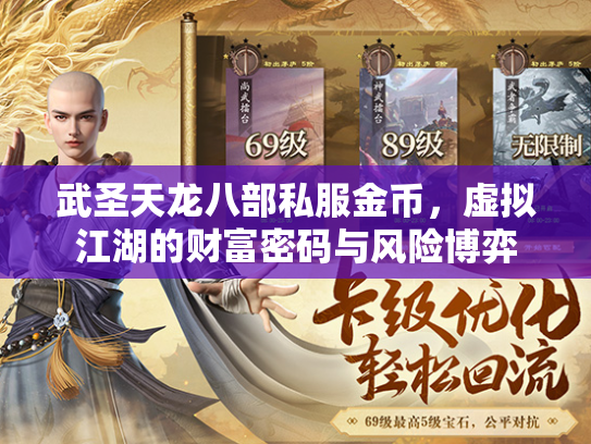 武圣天龙八部私服金币，虚拟江湖的财富密码与风险博弈  第1张