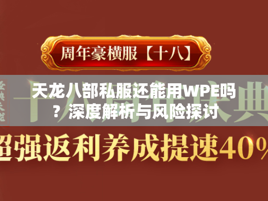 天龙八部私服还能用WPE吗？深度解析与风险探讨  第1张