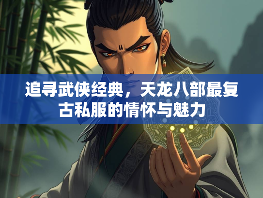 追寻武侠经典，天龙八部最复古私服的情怀与魅力  第2张