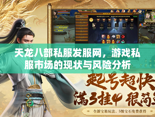 天龙八部私服发服网，游戏私服市场的现状与风险分析  第1张