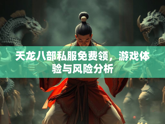 天龙八部私服免费领，游戏体验与风险分析  第1张