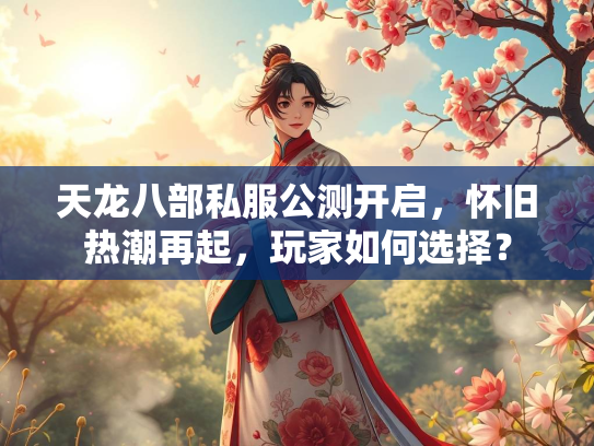 天龙八部私服公测开启，怀旧热潮再起，玩家如何选择？  第2张