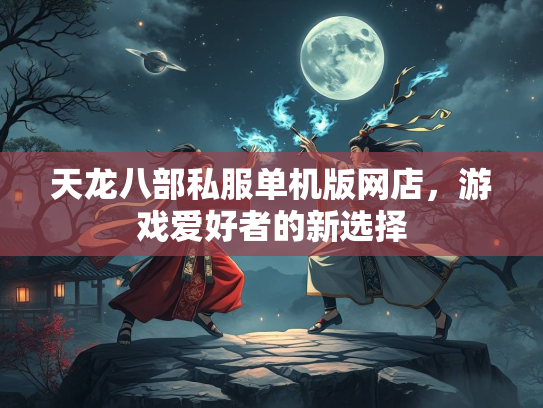 天龙八部私服单机版网店，游戏爱好者的新选择  第2张