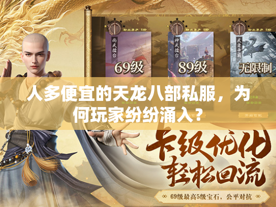 人多便宜的天龙八部私服，为何玩家纷纷涌入？  第4张