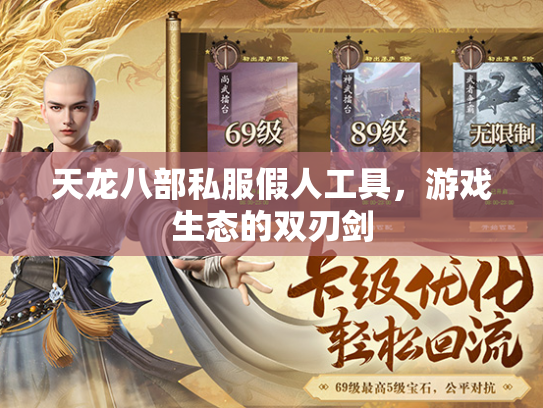 天龙八部私服假人工具，游戏生态的双刃剑  第3张