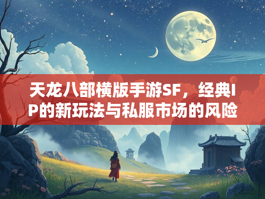 天龙八部横版手游SF，经典IP的新玩法与私服市场的风险  第3张