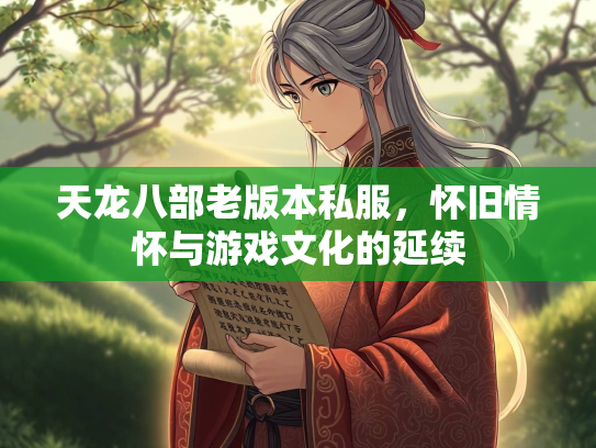 天龙八部老版本私服，怀旧情怀与游戏文化的延续  第3张