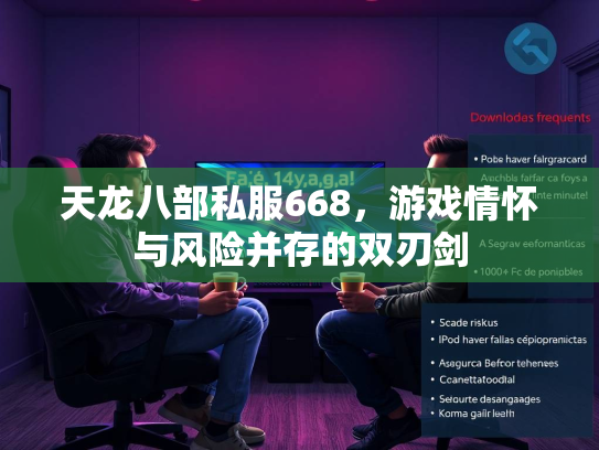 天龙八部私服668，游戏情怀与风险并存的双刃剑  第2张