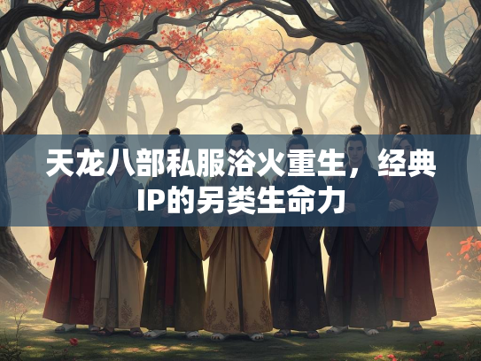 天龙八部私服浴火重生，经典IP的另类生命力  第1张