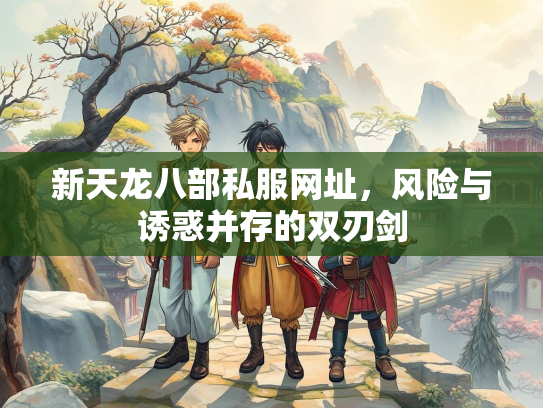新天龙八部私服网址，风险与诱惑并存的双刃剑  第2张