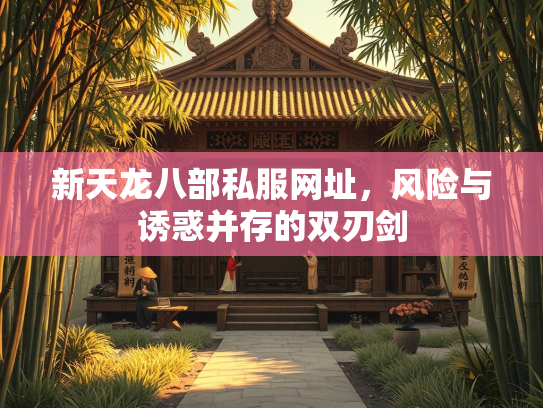 新天龙八部私服网址，风险与诱惑并存的双刃剑  第1张