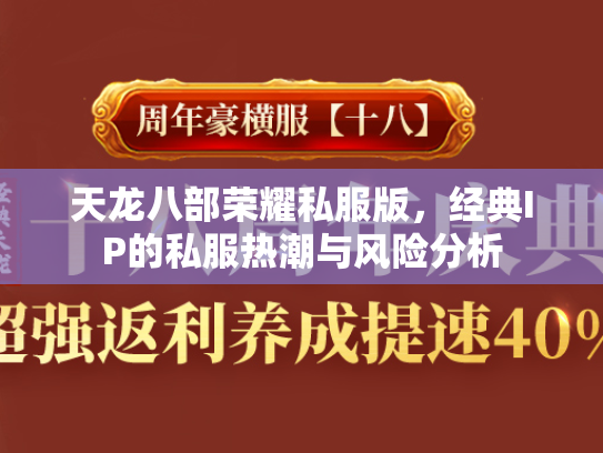 天龙八部荣耀私服版，经典IP的私服热潮与风险分析  第3张