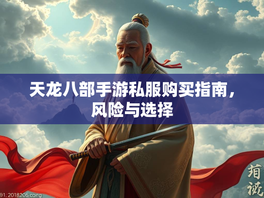 天龙八部手游私服购买指南，风险与选择  第2张