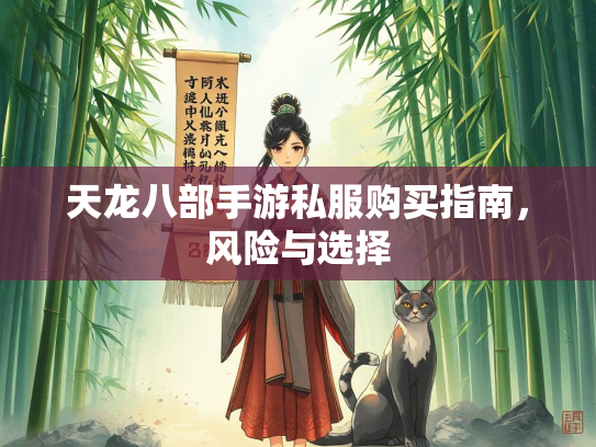 天龙八部手游私服购买指南，风险与选择  第3张