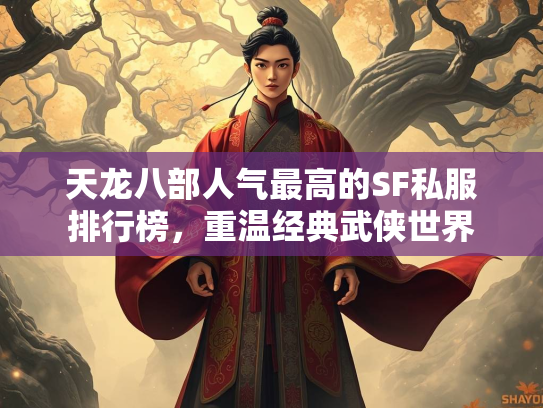 天龙八部人气最高的SF私服排行榜，重温经典武侠世界  第1张