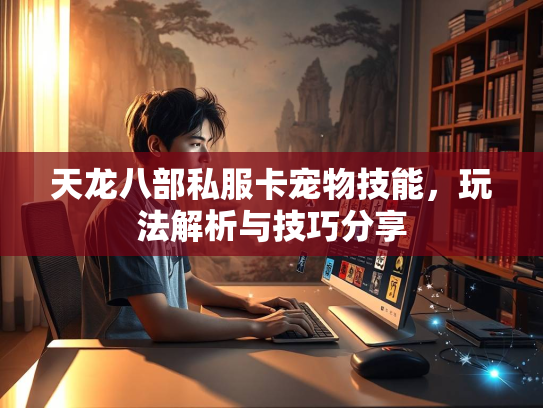 天龙八部私服卡宠物技能，玩法解析与技巧分享  第1张