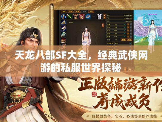 天龙八部SF大全，经典武侠网游的私服世界探秘  第3张