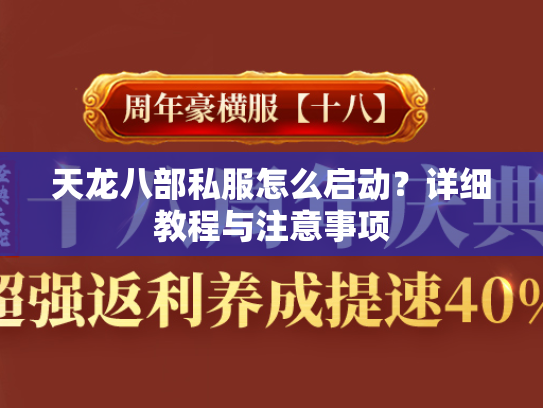 天龙八部私服怎么启动？详细教程与注意事项  第2张