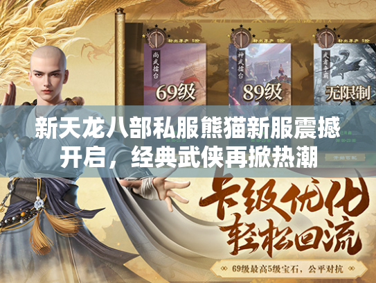 新天龙八部私服熊猫新服震撼开启，经典武侠再掀热潮  第3张