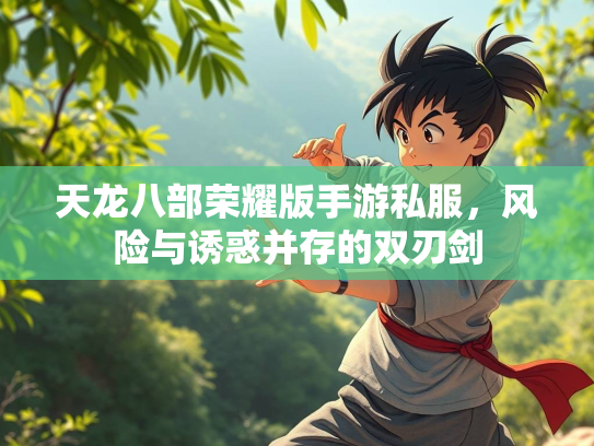 天龙八部荣耀版手游私服，风险与诱惑并存的双刃剑