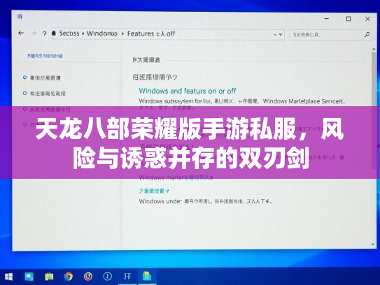 天龙八部荣耀版手游私服，风险与诱惑并存的双刃剑