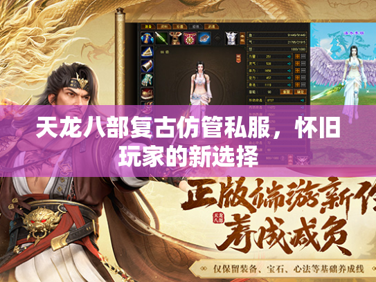 天龙八部复古仿管私服，怀旧玩家的新选择  第2张
