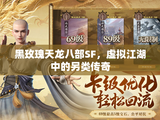 黑玫瑰天龙八部SF，虚拟江湖中的另类传奇  第2张