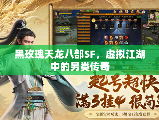 黑玫瑰天龙八部SF，虚拟江湖中的另类传奇  第3张