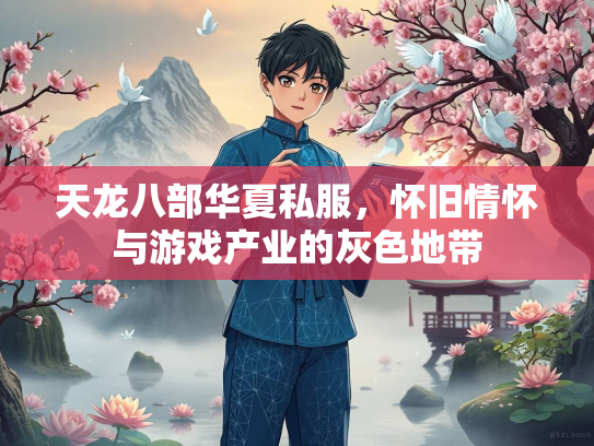 天龙八部华夏私服，怀旧情怀与游戏产业的灰色地带  第1张
