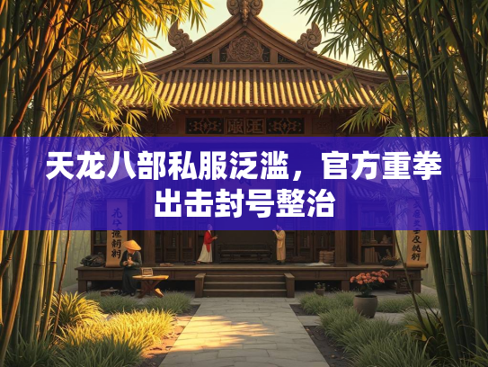 天龙八部私服泛滥，官方重拳出击封号整治  第3张