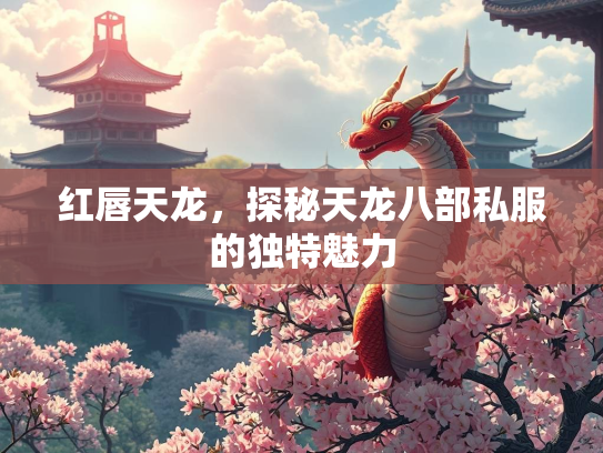 红唇天龙，探秘天龙八部私服的独特魅力  第2张
