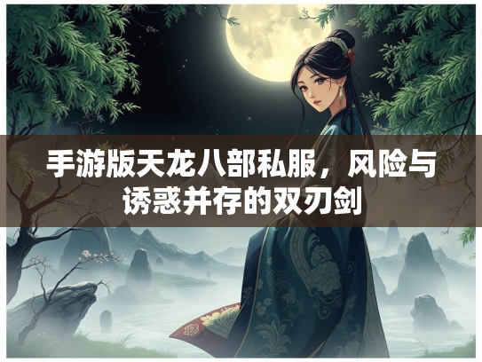 手游版天龙八部私服，风险与诱惑并存的双刃剑  第1张