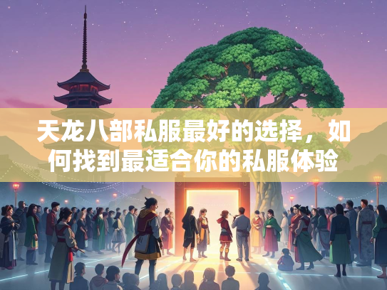 天龙八部私服最好的选择，如何找到最适合你的私服体验  第2张