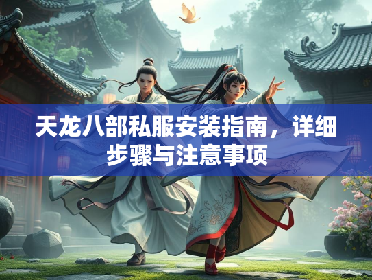 天龙八部私服安装指南，详细步骤与注意事项  第3张