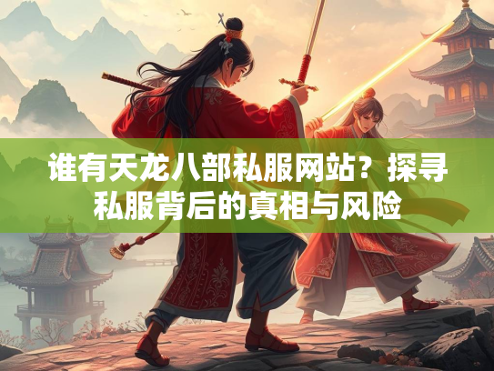 谁有天龙八部私服网站？探寻私服背后的真相与风险  第2张