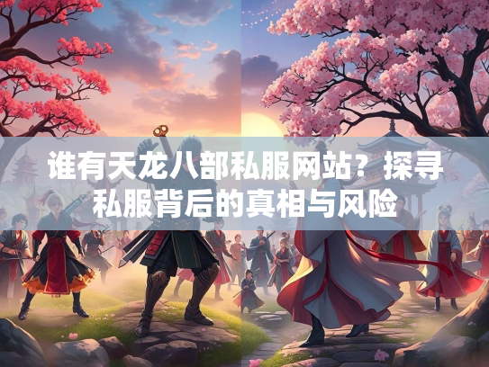 谁有天龙八部私服网站？探寻私服背后的真相与风险  第1张