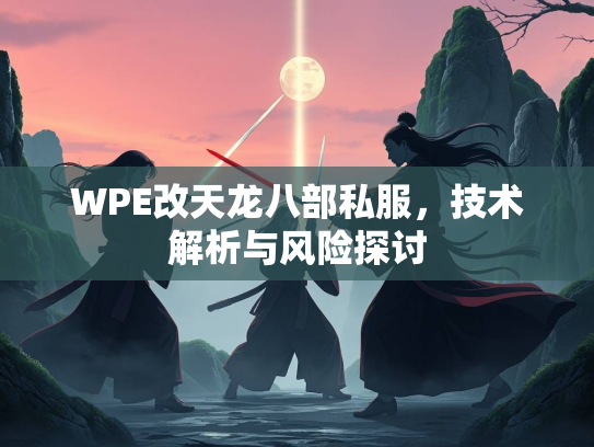 WPE改天龙八部私服，技术解析与风险探讨  第2张