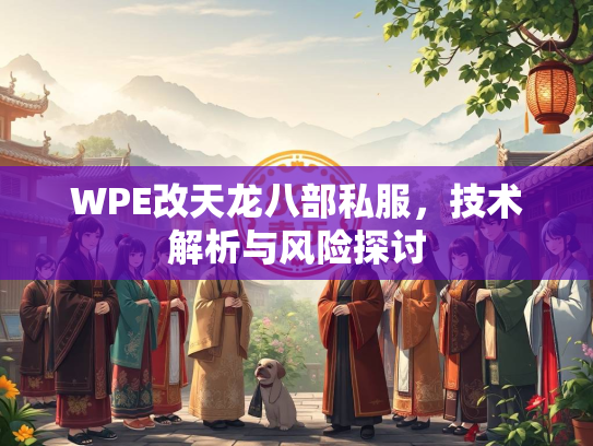 WPE改天龙八部私服，技术解析与风险探讨  第3张