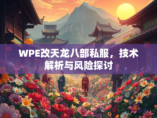 WPE改天龙八部私服，技术解析与风险探讨  第1张
