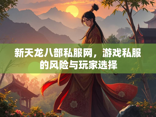 新天龙八部私服网，游戏私服的风险与玩家选择