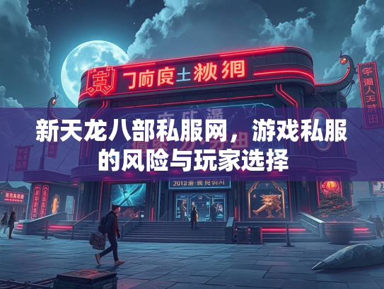 新天龙八部私服网，游戏私服的风险与玩家选择