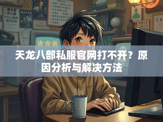 天龙八部私服官网打不开？原因分析与解决方法  第3张