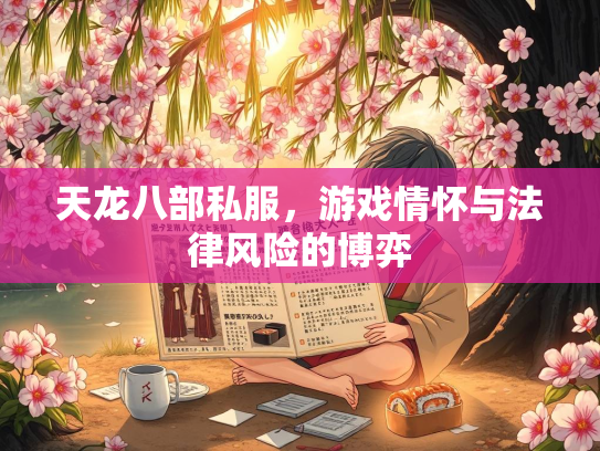 天龙八部私服，游戏情怀与法律风险的博弈  第3张