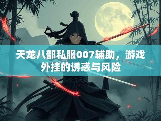天龙八部私服007辅助，游戏外挂的诱惑与风险  第1张
