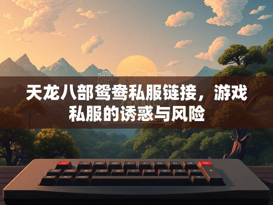 天龙八部鸳鸯私服链接，游戏私服的诱惑与风险  第4张