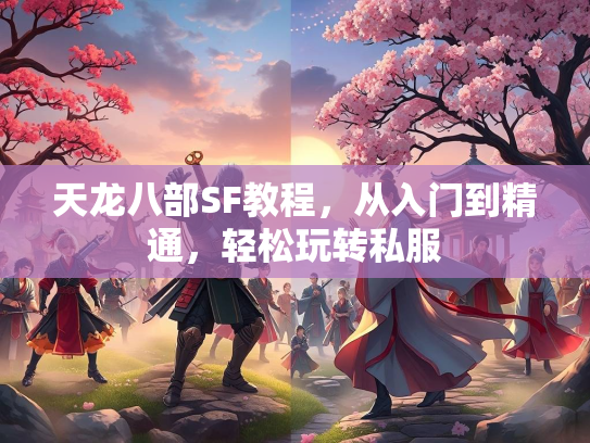 天龙八部SF教程，从入门到精通，轻松玩转私服  第1张