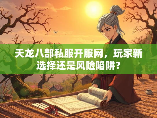 天龙八部私服开服网，玩家新选择还是风险陷阱？  第3张