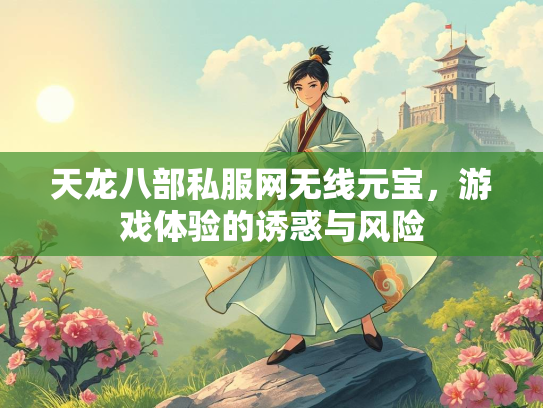 天龙八部私服网无线元宝，游戏体验的诱惑与风险
