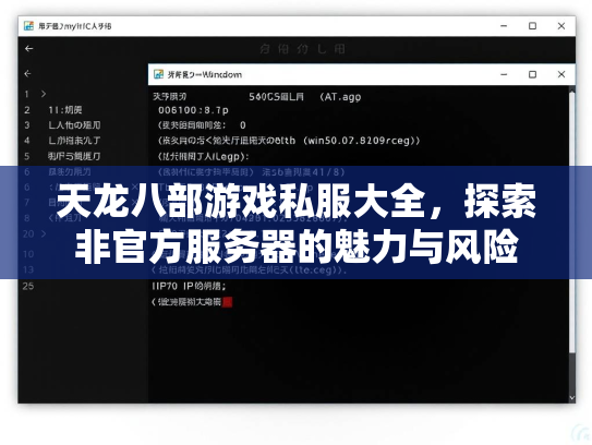 天龙八部游戏私服大全，探索非官方服务器的魅力与风险  第1张